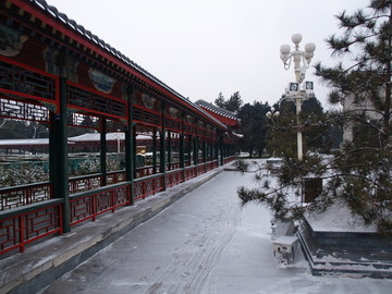 雪后的北京中山公园