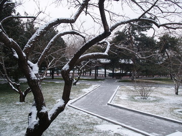 雪后的北京中山公园
