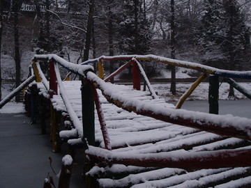 雪后的青岛植物园