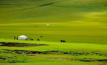 夏季草原蒙古包