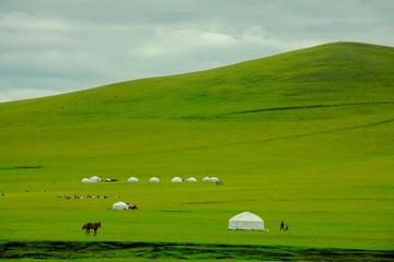 丘陵草原蒙古包