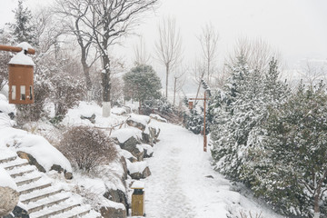 雪景