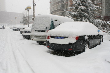 暴雪下的汽车