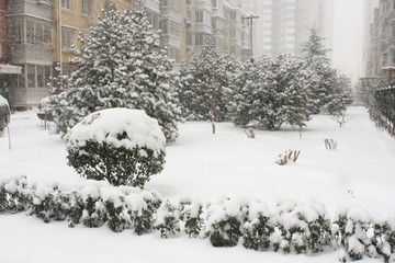 居民区雪景