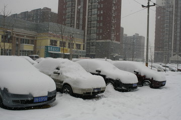 雪下的汽车