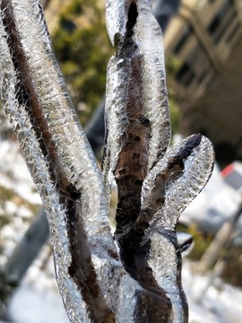 雪后初晴美如画 （33）