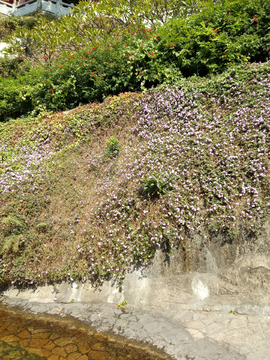  鸿山公园