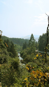 云门山风景