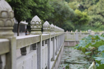 荷花池石雕