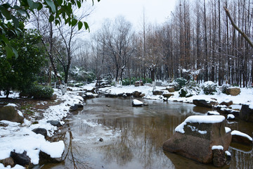 溪水石头雪景