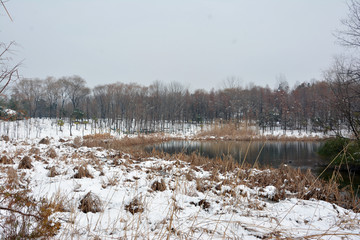 湖水雪景