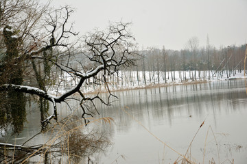 湖畔冬景