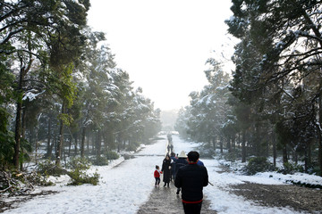 雪景小道