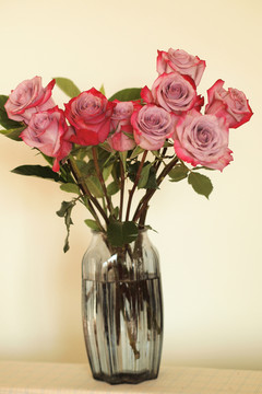 玫瑰插瓶 鲜花 浪漫