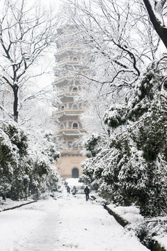 灵谷景区雪景