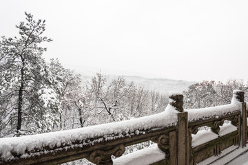 灵谷景区雪景