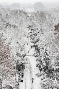 灵谷景区雪景