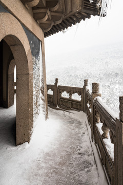 灵谷景区雪景