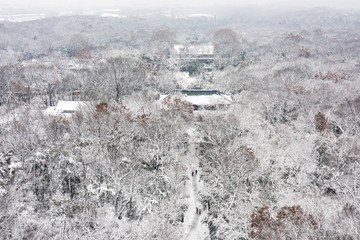 灵谷景区雪景