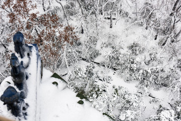 灵谷景区雪景