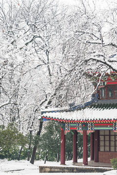 松风阁雪景