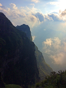 高山云雾