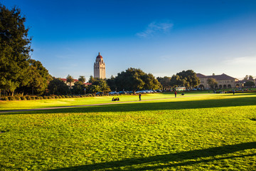 斯坦福大学