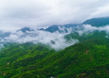 大山的云雾