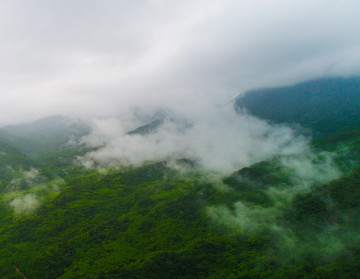 云雾 雨后景色