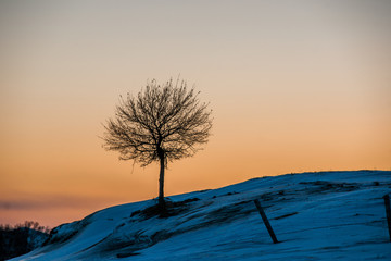 雪景