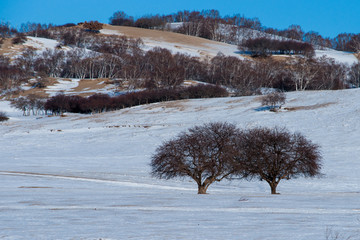 雪景