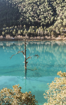 蓝月谷的玉液湖