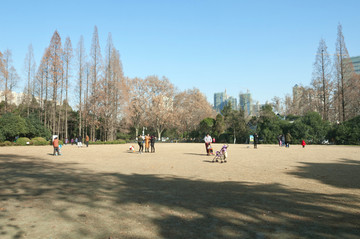 合肥杏花公园风景