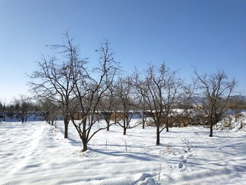 富平县农村雪景