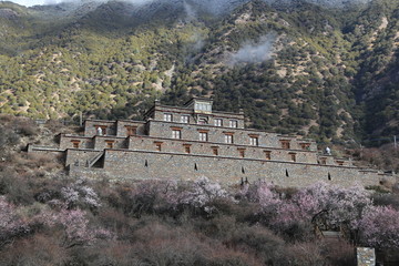 西藏林芝秀巴古堡