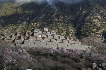 西藏林芝秀巴古堡