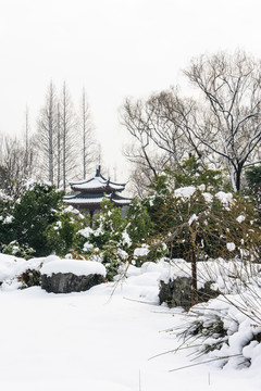 明孝陵景区雪景