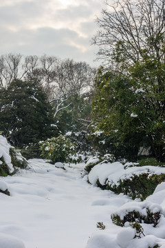 明孝陵景区雪景