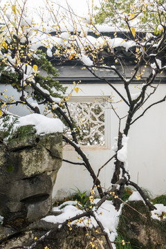 明孝陵景区雪景