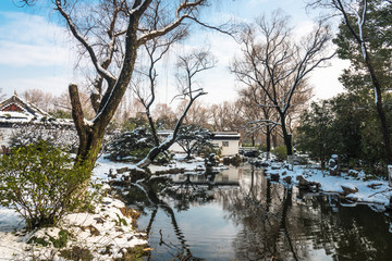 明孝陵景区雪景