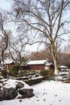 明孝陵景区雪景