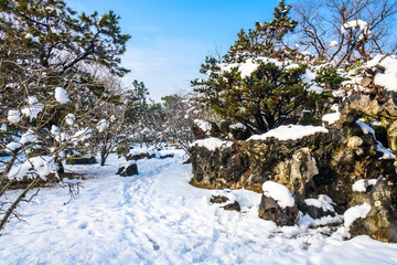 明孝陵景区雪景