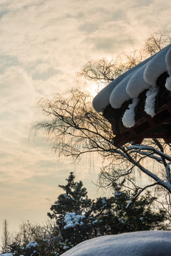 明孝陵景区雪景