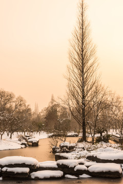 明孝陵景区雪景