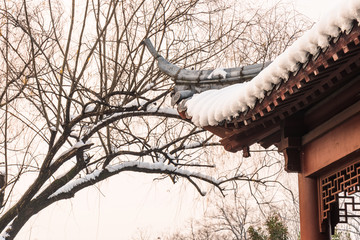 明孝陵景区雪景