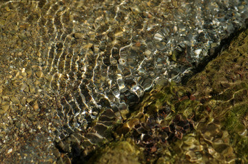 水