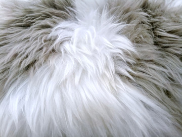 羊毛毯 羊毛垫 羊毛素材