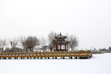 银川景城公园雪景