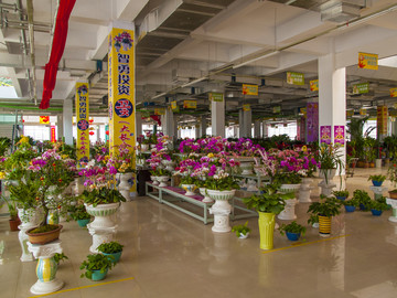 花卉市场