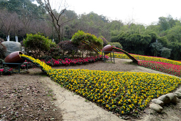 园林花卉